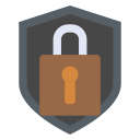 seguridad icon