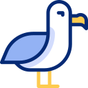 albatros animated icon