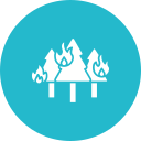 incendio forestal icon