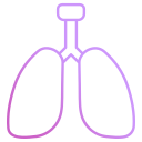 pulmones icon