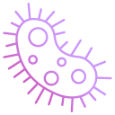 bacteria icon