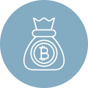 bitcoin icon