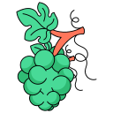 uvas icon