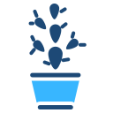 cactus icon