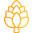 hopfen 