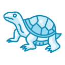 tortuga icon