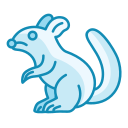 chinchilla icon