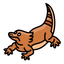 dragón barbudo icon