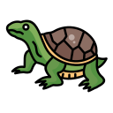 tortuga icon