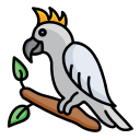 cacatúa icon