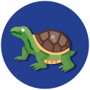 tortuga icon