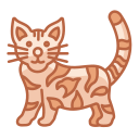 gato de bengala icon