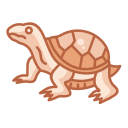 tortuga icon