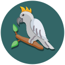 cacatúa icon