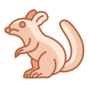 chinchilla icon