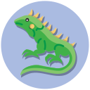 iguana icon