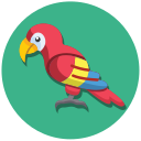 guacamayo icon