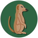 suricata icon