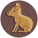 animal icon