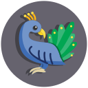 pavo real icon