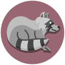 mapache icon