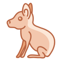 animal icon