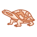 tortuga icon