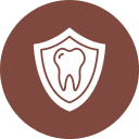 seguro dental icon