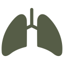 pulmones 