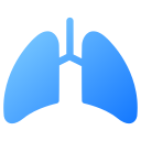 pulmones 