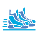 patinaje sobre hielo icon