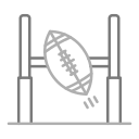 Rugby icon