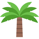 palmera icon