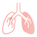 pulmones humanos icon