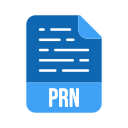 prn icon