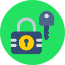 seguridad icon