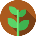 Planta icon