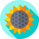 Girasol icon