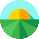 Campo icon