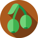 Oliva icon