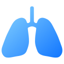 pulmones 