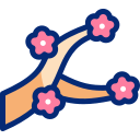 sakura icon