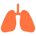 pulmones 