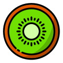 kiwi icon