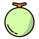 melón icon