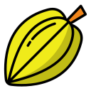 fruta estrella icon