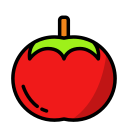 tomate icon