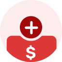 añadir dinero icon