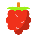 fruta de frambuesa icon