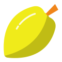 fruta estrella icon